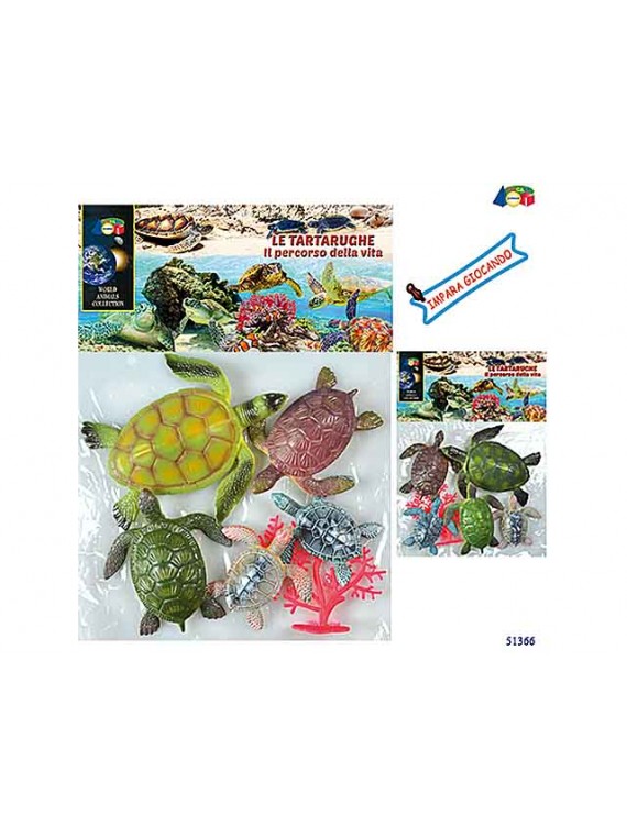AN-BUSTA TARTARUGHE 6PZ