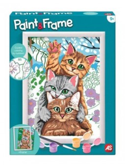 CR-PAINT & FRAME CON...