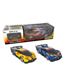 RDC AUTO FAST RACE 1/16 ASS