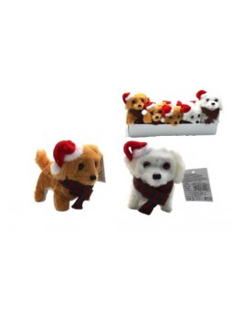ST-NATALE:CAGNOLINO CON...