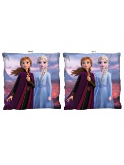 ARR-CUSCINO FROZEN 40X40...
