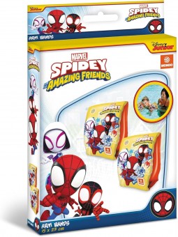 GONF-BRACCIOLI SPIDEY 15X23
