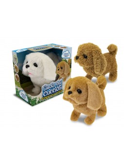 X-CANE FILOGUIDATO L'ISOLA...